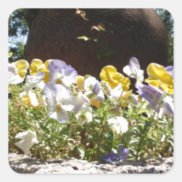 Violas In Een Stenen Bak. Vierkante Sticker