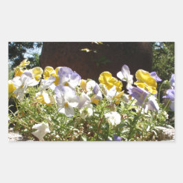 Violas in een stenen trog. rechthoekige sticker