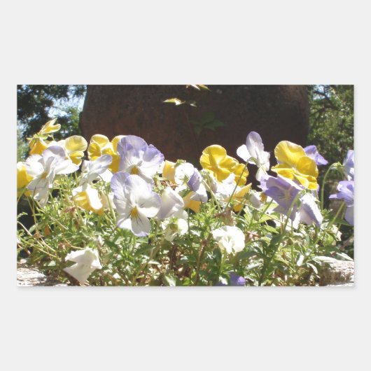 Violas in een stenen trog. rechthoekige sticker (Voorkant)