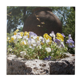Violas in een stenen trog. tegeltje