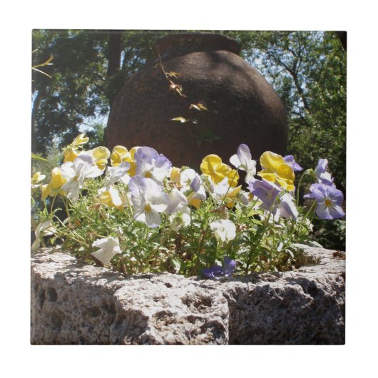 Violas in een stenen trog. tegeltje (Voorkant)