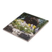 Violas in een stenen trog. tegeltje (Zijkant)