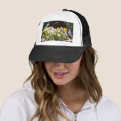 Violas in een stenen trog. trucker pet (In situ)