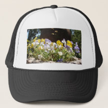 Violas in een stenen trog.