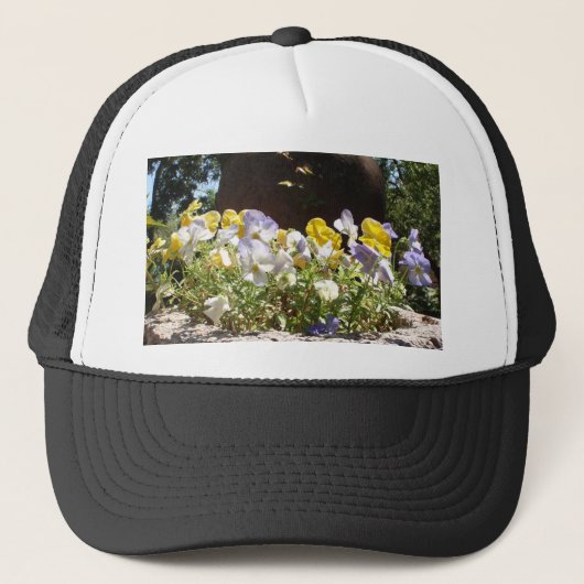 Violas in een stenen trog. trucker pet (Voorkant)