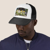 Violas in een stenen trog. trucker pet (In situ)