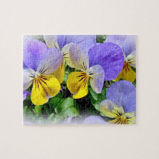 Violas - Paars en Geel Legpuzzel (Horizontaal)