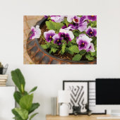 Viola's - Paarse Viola's Poster (Thuiskantoor)