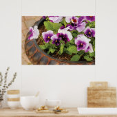 Viola's - Paarse Viola's Poster (Keuken)
