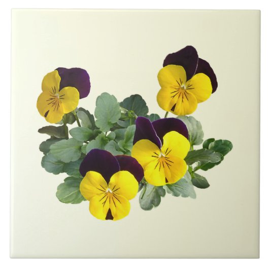 Violas Sorbet Geel Opspringen Tegeltje (Voorkant)