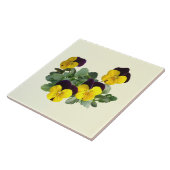 Violas Sorbet Geel Opspringen Tegeltje (Zijkant)