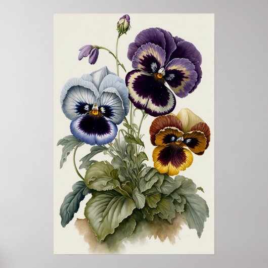 Violas Viooltjes Bloem Kunstprint Poster (Voorkant)