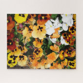 Violen Legpuzzel (Horizontaal)