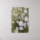 Violet Asters Canvas Afdruk (Voorkant)