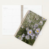 Violet Asters Planner (Display)