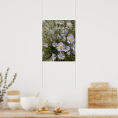 Violet Asters Poster (Keuken)