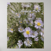 Violet Asters Poster (Voorkant)