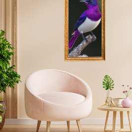Violet-backed Starling  Poster