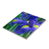 Violet Bearded Iris Tile Tegeltje (Zijkant)