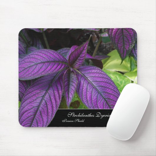 Violet Beauty Mousepad Muismat (Met muis)