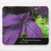 Violet Beauty Mousepad Muismat (Voorkant)