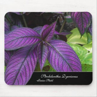 Violet Beauty Mousepad Muismat