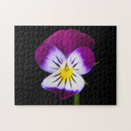 Violet Bloem 11x14 252pc jpcnm Legpuzzel