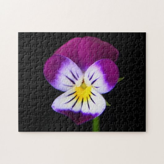 Violet Bloem 11x14 252pc jpcnm Legpuzzel (Horizontaal)