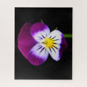 Violet Bloem 16x20 520pc jpcnm Legpuzzel (Verticaal)
