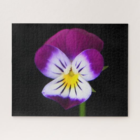 Violet Bloem 16x20 520pc jpcnm Legpuzzel (Horizontaal)