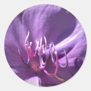 Violet Bloem Bruiloft Envelop Seal Ronde Sticker