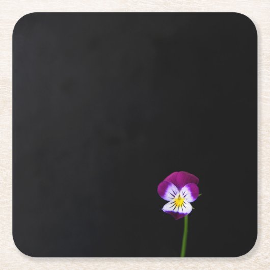 Violet Bloem coastercnm Kartonnen Onderzetters (Voorkant)