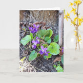 Violet Bloemen in Bos Kaart (Gele Bloem)