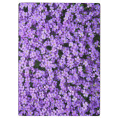 Violet Bloemen Klembord (Achterkant)