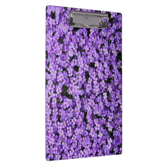 Violet Bloemen Klembord (Rechts)