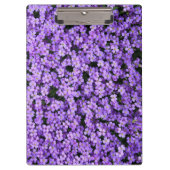 Violet Bloemen Klembord (Voorkant)