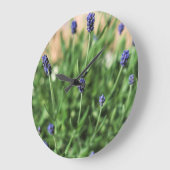 Violet Bloemen - klok (Hoek)