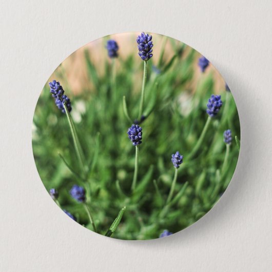 Violet bloemen knop ronde button 7,6 cm (Voorkant)