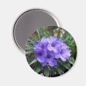 Violet bloemen magneet (Voorkant / Achterkant)