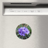 Violet bloemen magneet (Insitu (Vaatwasser))
