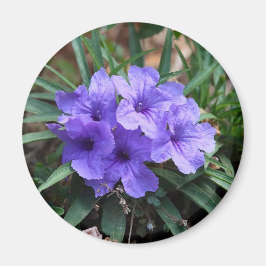 Violet bloemen magneet (Voorkant)