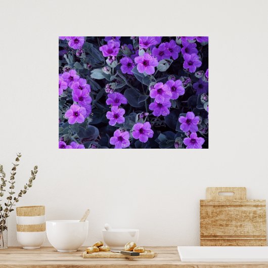 Violet bloemen poster (Keuken)