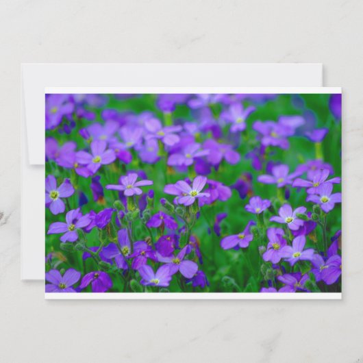 Violet bloemen uitnodiging (Voorkant)