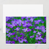 Violet bloemen uitnodiging (Voorkant / Achterkant)