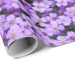 Violet Bloemen Wrapping Papieren Viooltjes Cadeaupapier