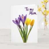 Violet Blooms Mum Card Kaart (Gele Bloem)