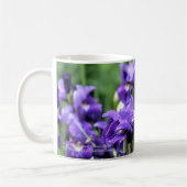 Violet Blue Siberian Iris Caesar's broer Koffiemok (Links)
