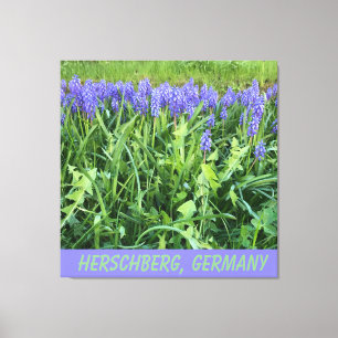 Violet Bluebell Canvas Afdruk