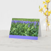 Violet Bluebells Fotografie - Herschberg, Duitslan Kaart (Gele Bloem)
