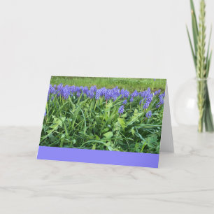 Violet Bluebells Fotografie - Herschberg, Duitslan Kaart
